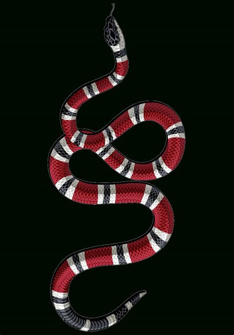 gucci snakes wallpaper iphone|gucci snake transparent.